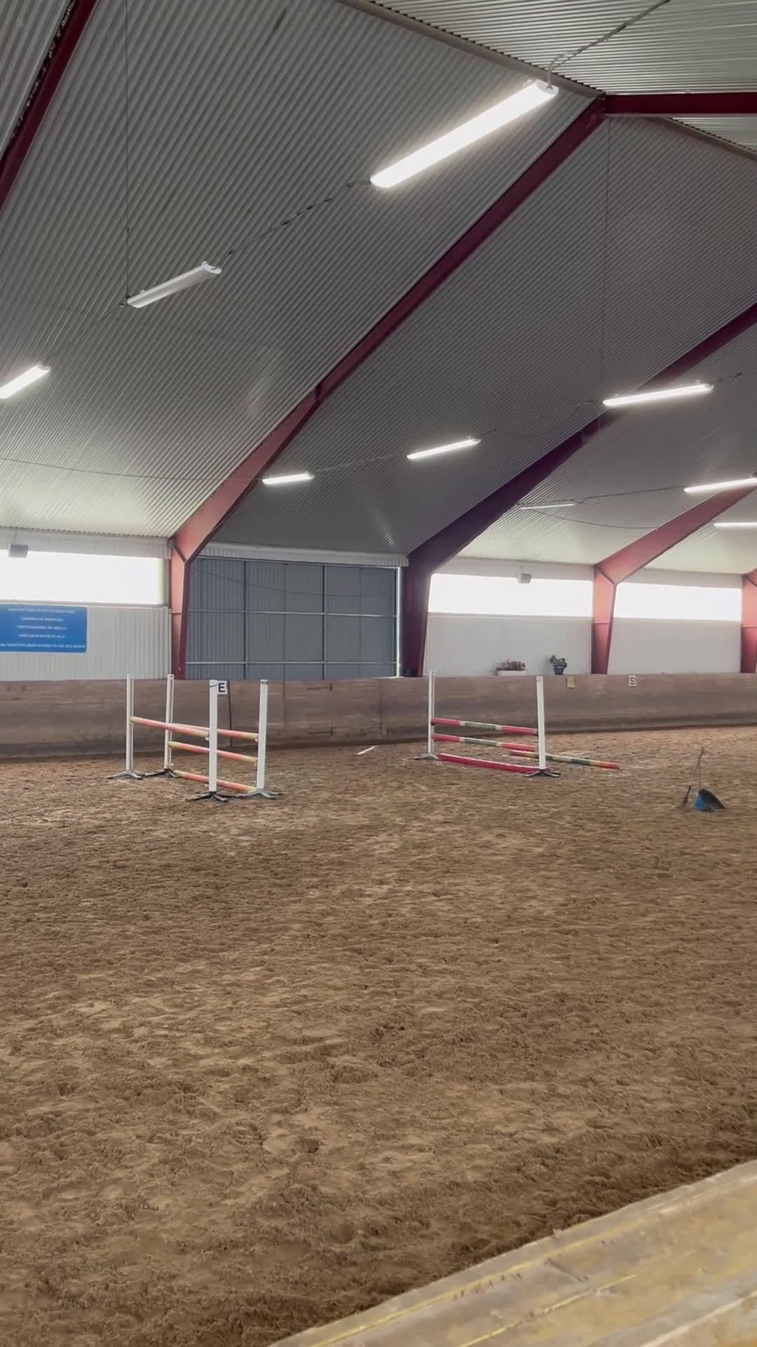 Hoppning hästar till salu: C-ponny - Video 1