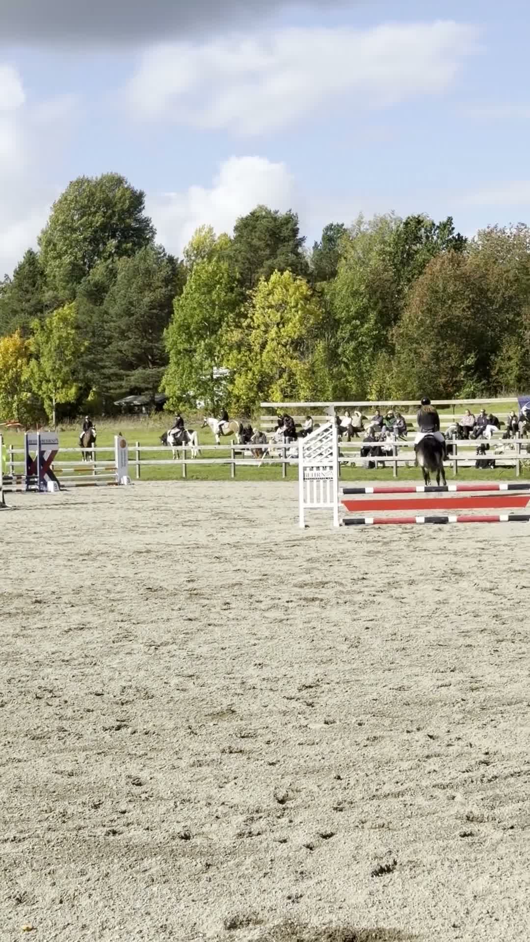 Allround hästar till salu: Världens bästa läromästare ❤️ - Video 4