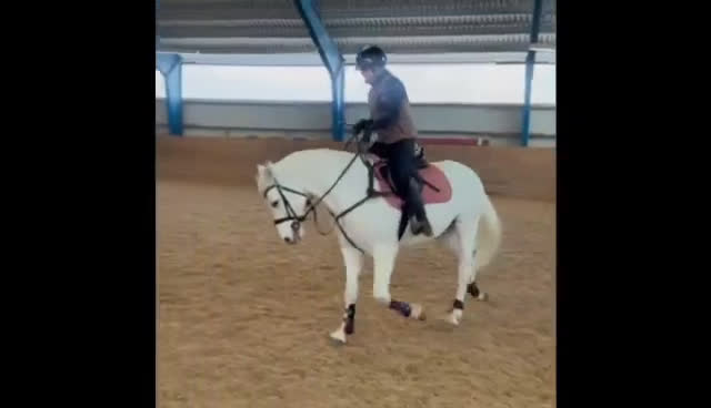 Allround hästar till salu: Mycket trevlig Allround D-ponny  - Video 1