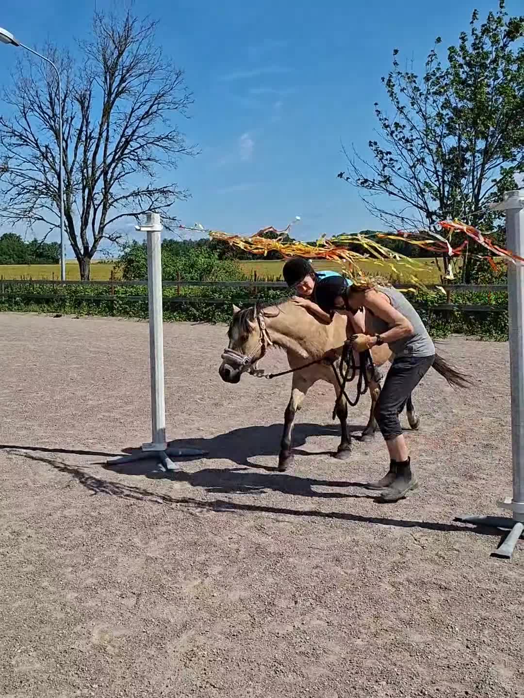 Allround hästar till salu: Underbar vacker och snäll Bponny  - Video 1