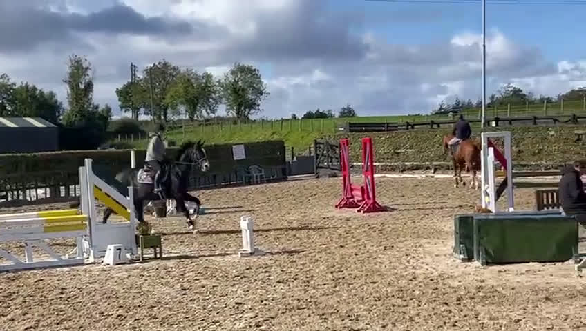 Hoppning hästar till salu: 9årigt sto  i Valbo - Video 1