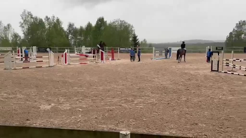Hoppning hästar till salu: Världens finaste bästavän!  - Video 3