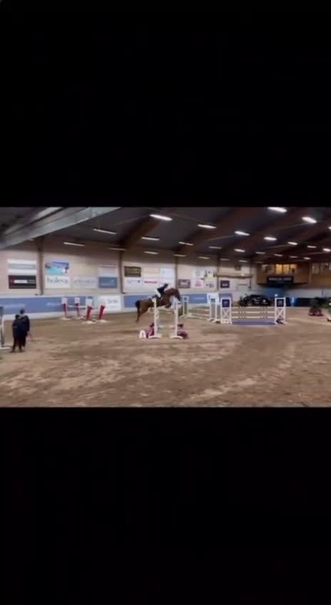 Hoppning hästar till salu: Sto med fantastisk hoppkvalité i Säve - Video 1
