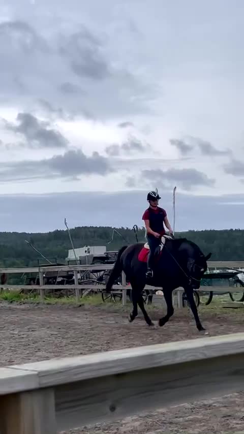  hästjobb finnes: Söker sommarjobb i stall i Hyssna - Video 4