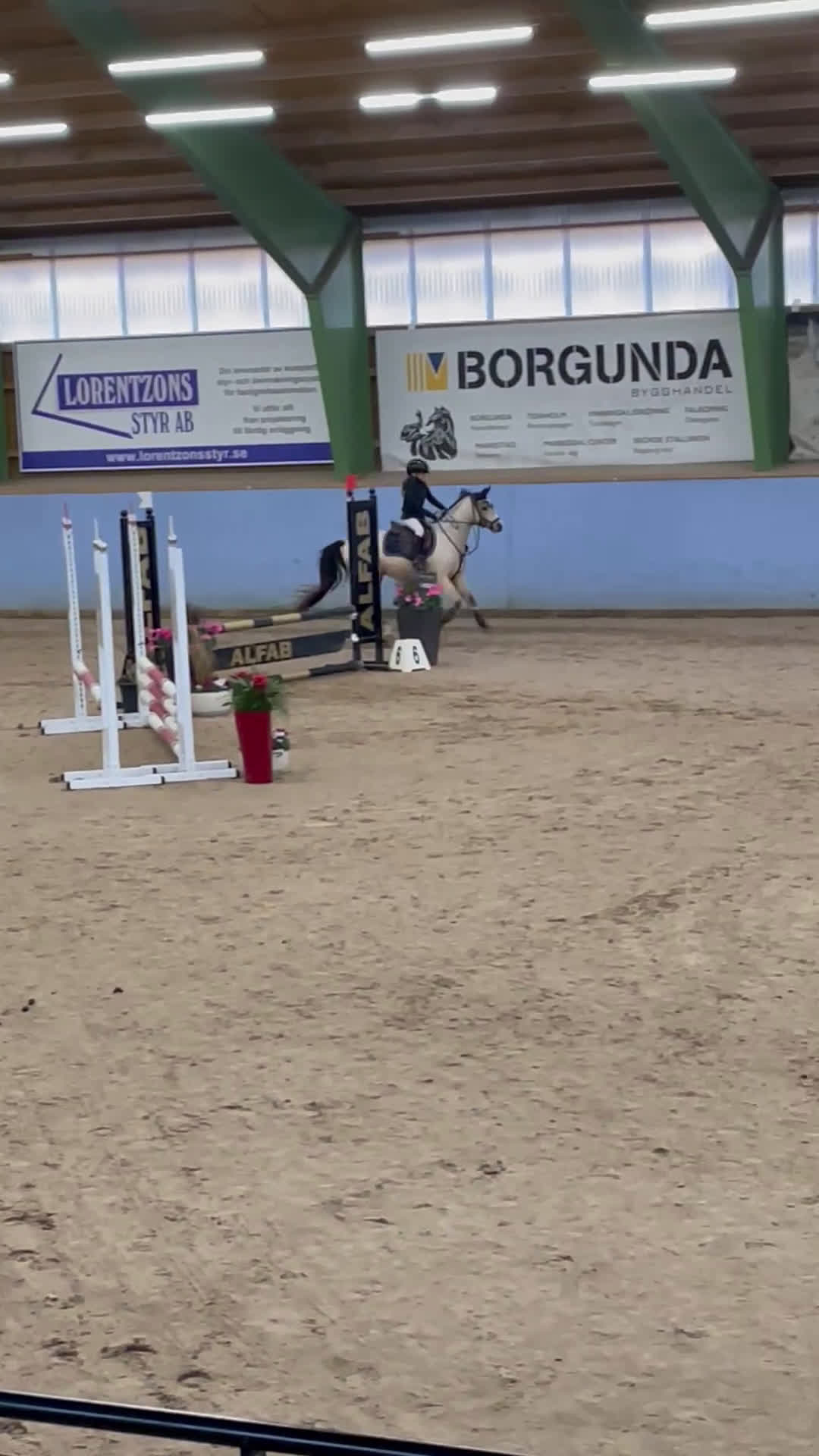 Allround hästar till salu: Superfin B-ponny  i Broddetorp - Video 3