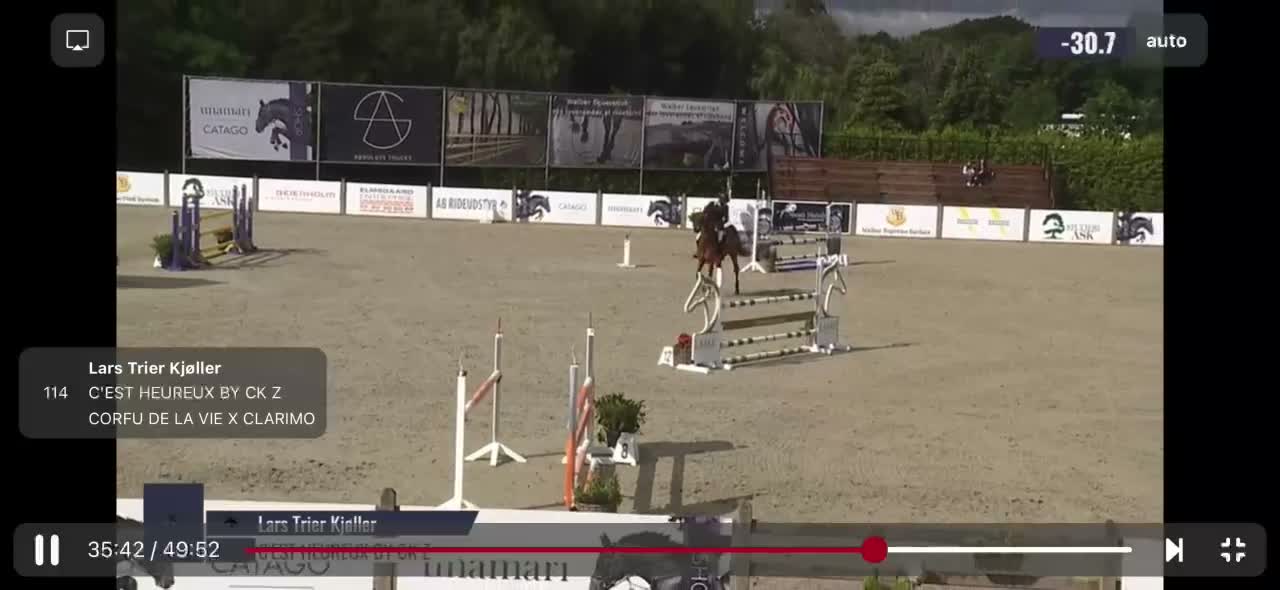 Hoppning hästar till salu: Brave, careful and fun gelding - Video 1