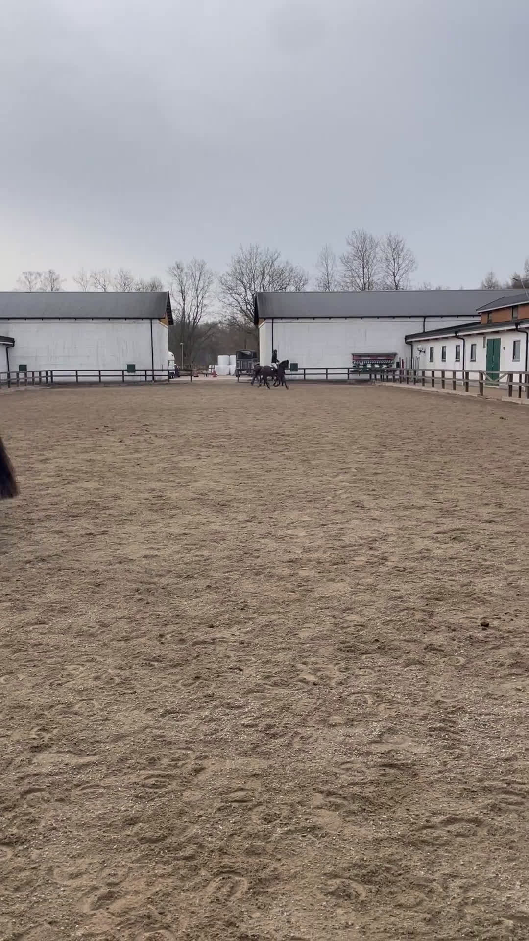 Hoppning hästar till salu: Sportponny med toppstam - Video 5