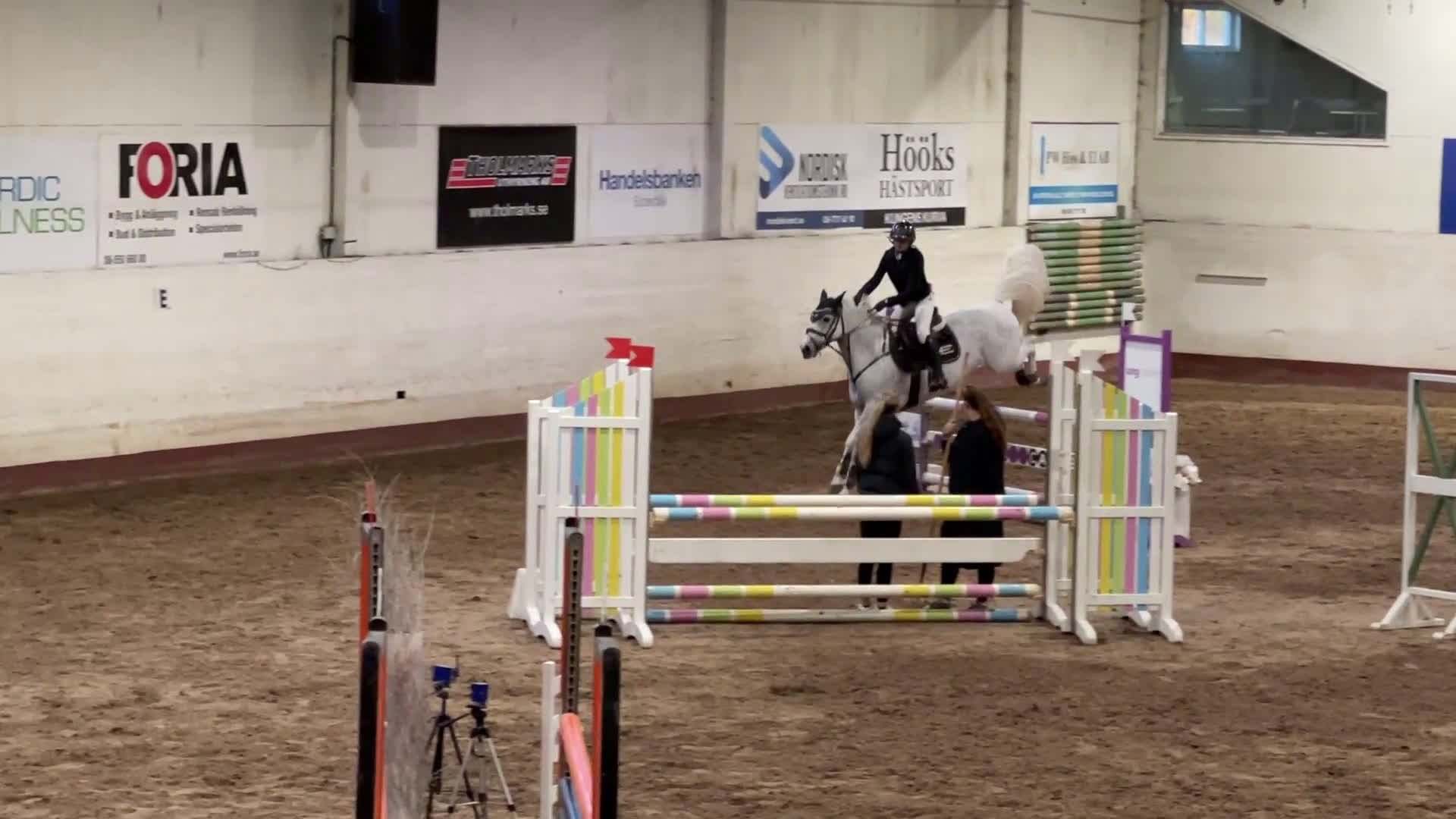 Hoppning hästar till salu: Magisk läromästare  i Upplands Väsby - Video 1