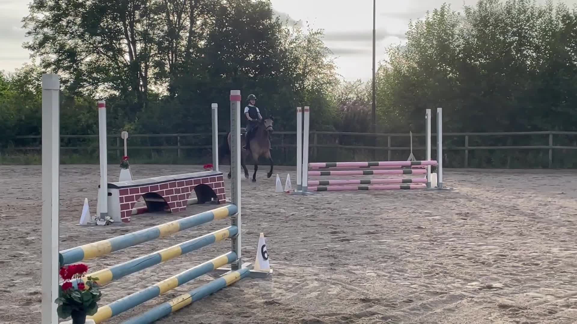 Allround hästar till salu: Trevlig allroundponny/första ponny i Åskloster - Video 5