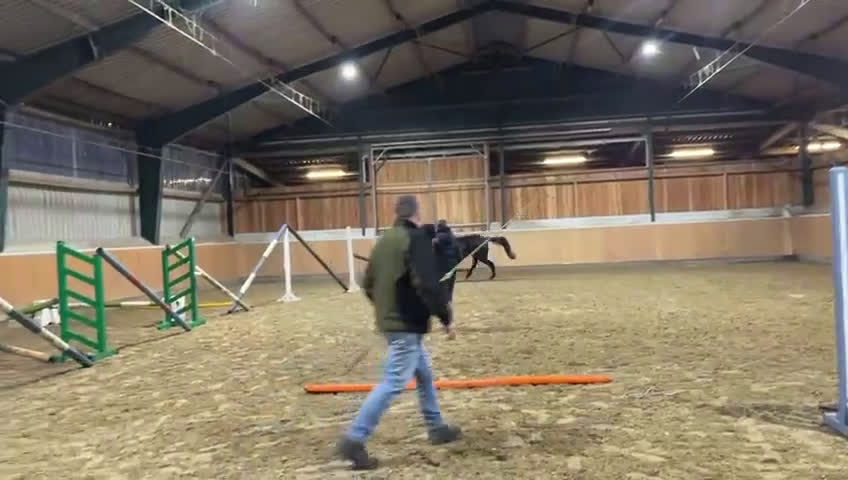 Hoppning hästar till salu: Trevlig 6 åring  i Allerum - Video 1