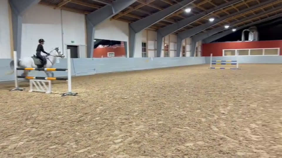 Hoppning hästar till salu: En ponny för dem stora klasserna! i Knivsta - Video 2