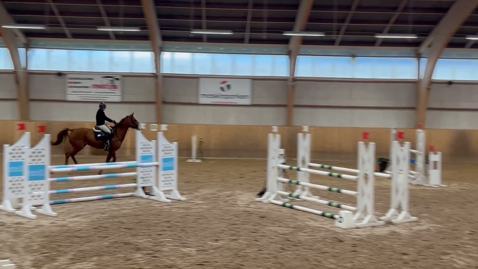 Hoppning hästar till salu: Fint sto till salu!  i Vellinge - Video 5