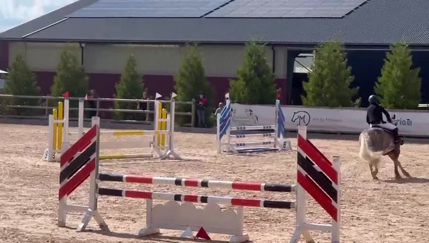 Allround hästar till salu: Snäll B-ponny i Kolmården - Video 2