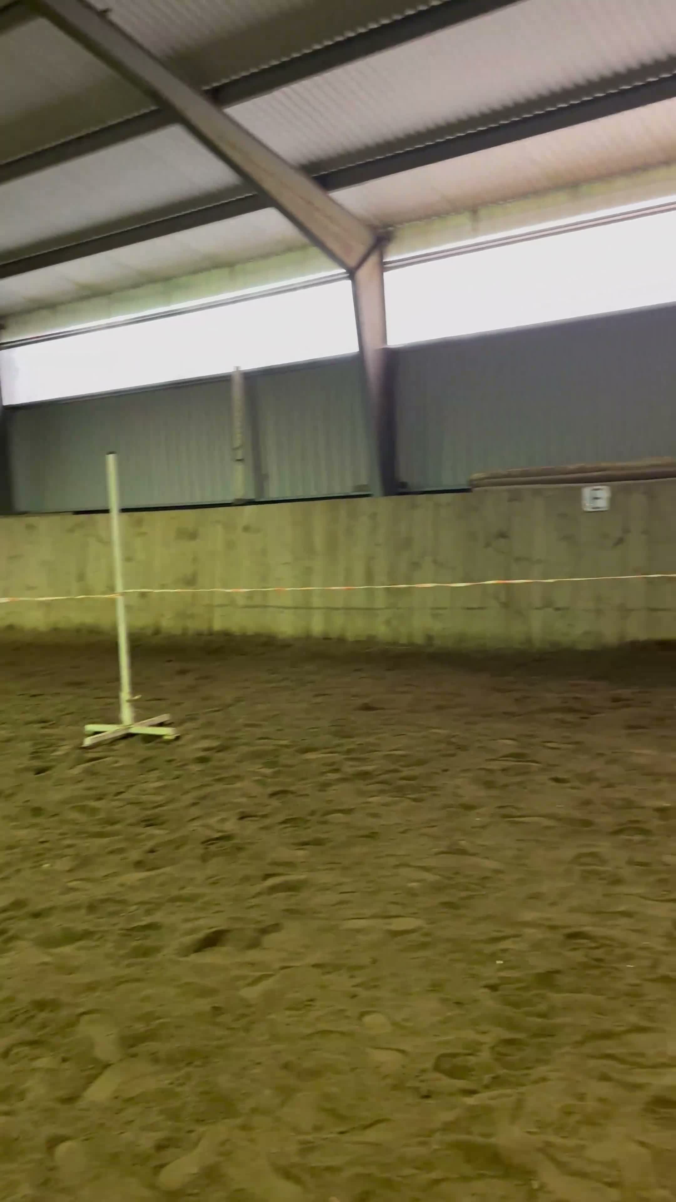 Allround hästar till salu: Trevligt sto - Video 2