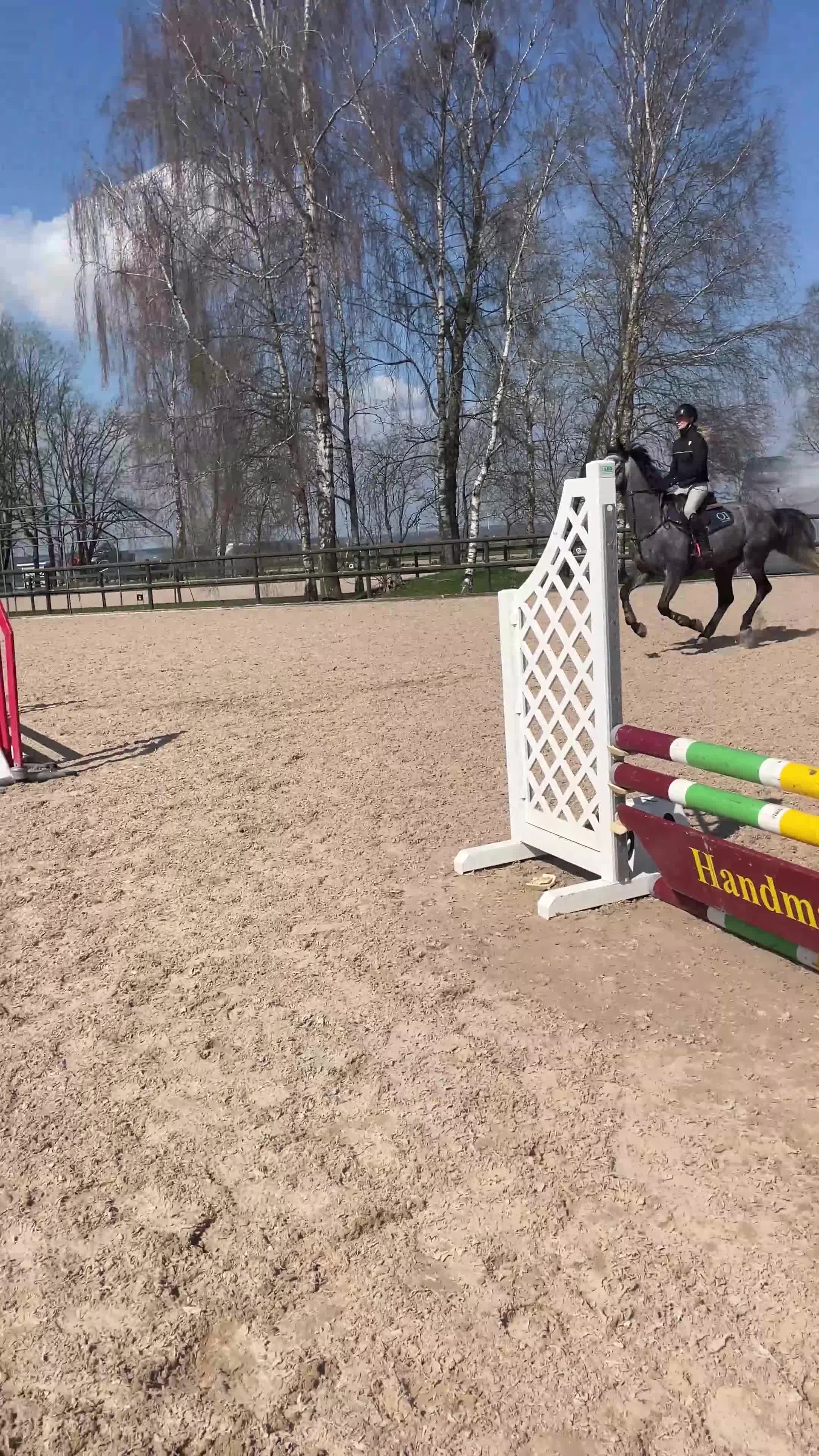 Allround hästar till salu: Trevlig allroundvalack  - Video 1