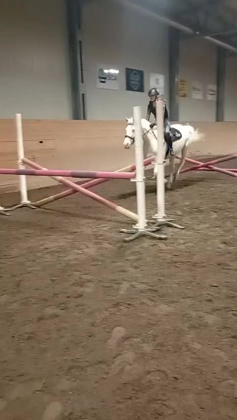 Allround hästar sökes: Söker snäll och mysig häst - Video 2