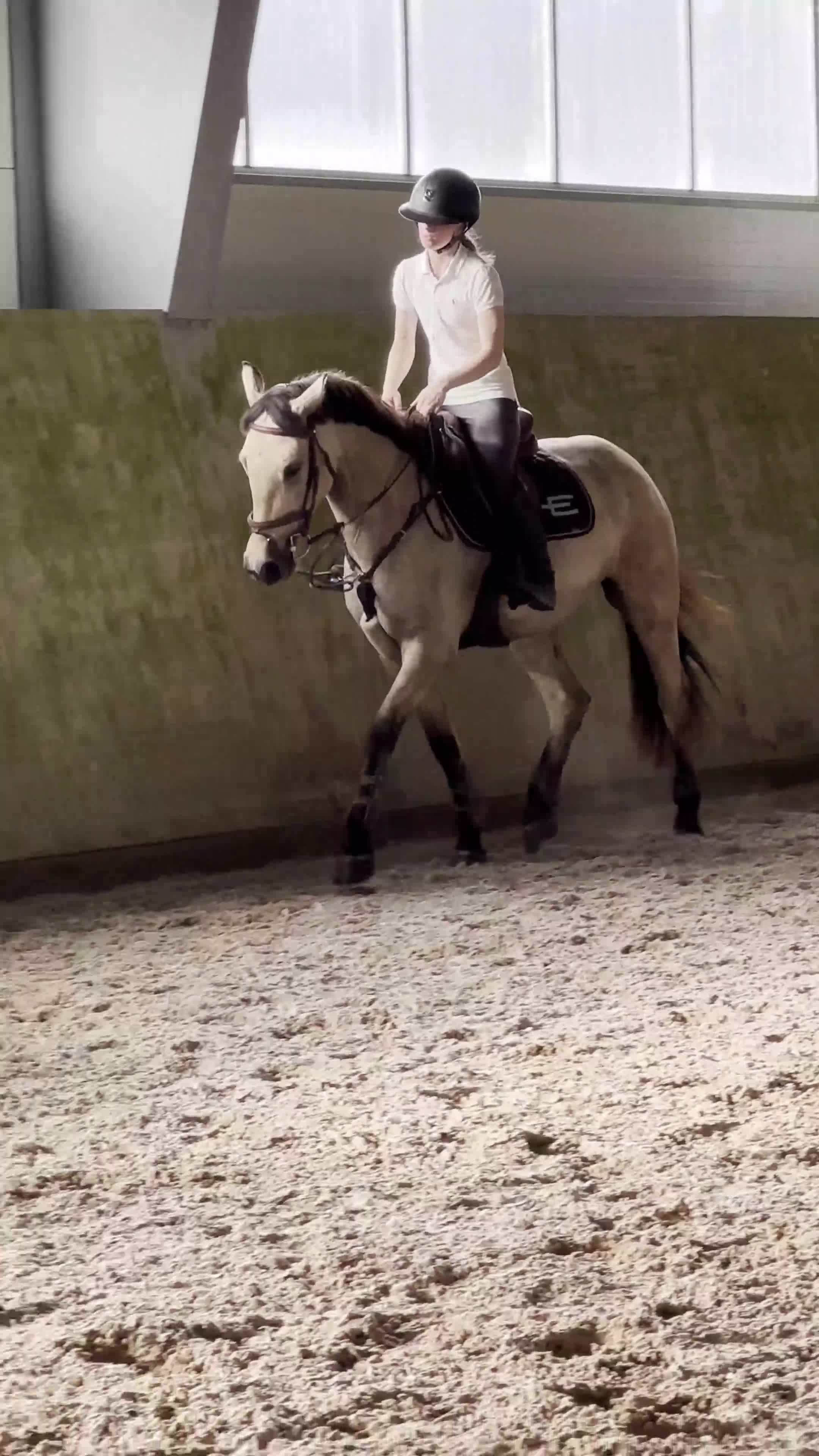 Hoppning hästar till salu: Lovande ungponny✨  - Video 1