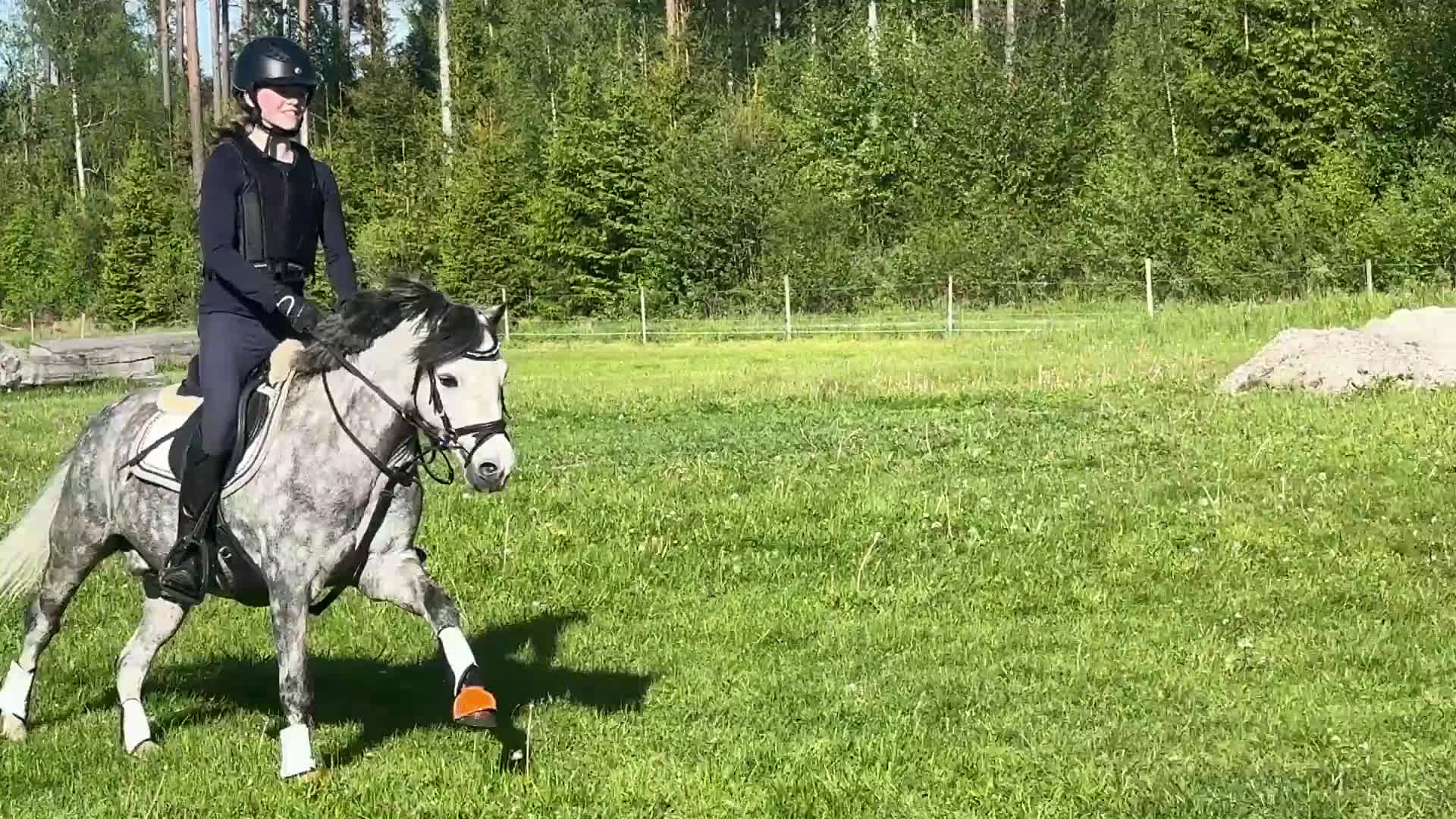 Hoppning hästar till salu: Drömponny med kapacitet  i Björkvik - Video 2