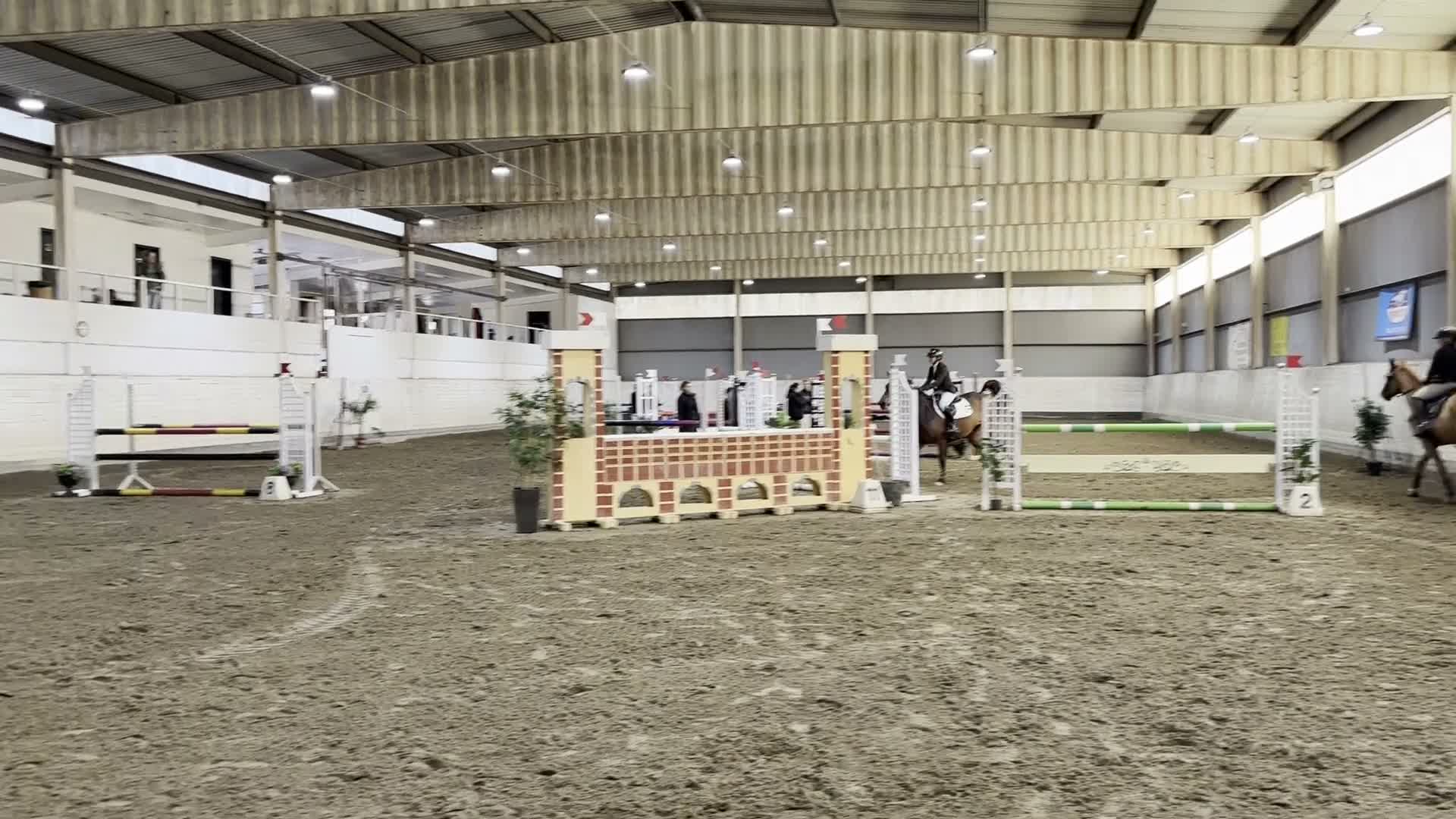 Hoppning hästar till salu: Välutbildad tävlingshäst med stor kapacitet - Video 5