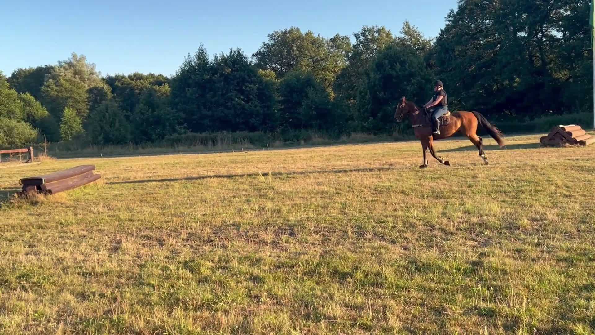 Fälttävlan hästar till salu: Unghäst för framtiden, röntgad. i Tollarp - Video 4