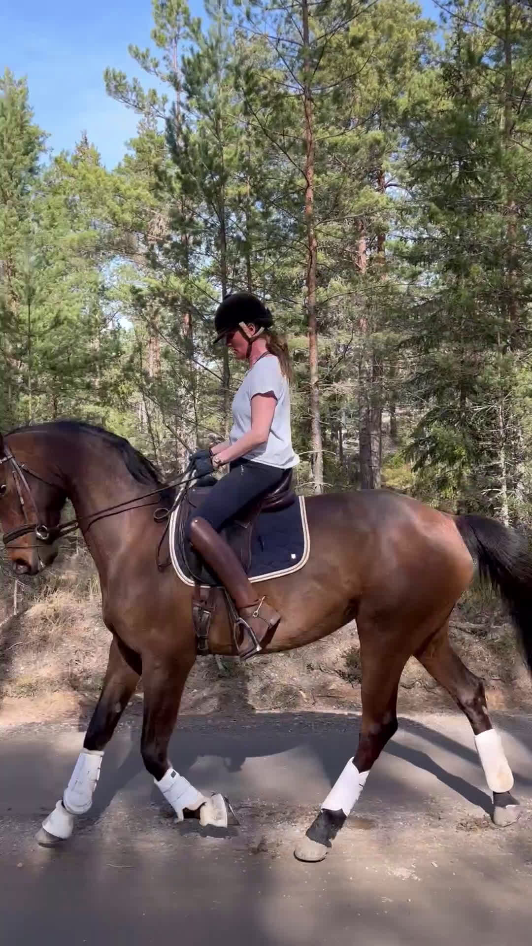 Allround hästar till salu: Till uteritt / hoppning  - Video 3