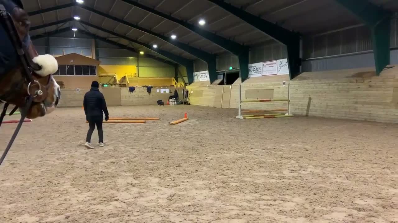 Allround hästar till salu: Charmigt fullblodssto! - Video 2