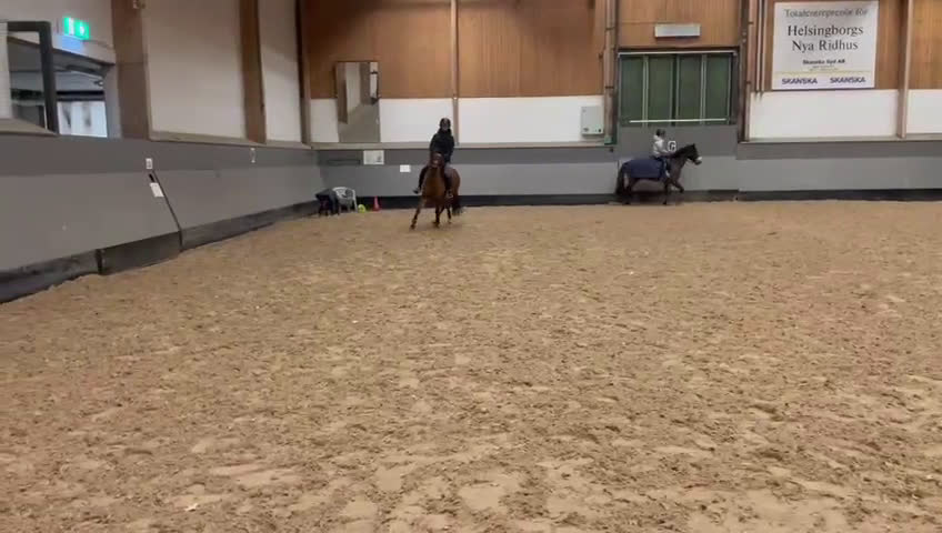 Hoppning hästar till salu: Fantastisk ponny med toppstam!  i Påarp - Video 1