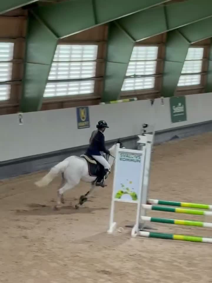 Hoppning hästar till salu: Perfekt första ponny i Kvidinge - Video 3