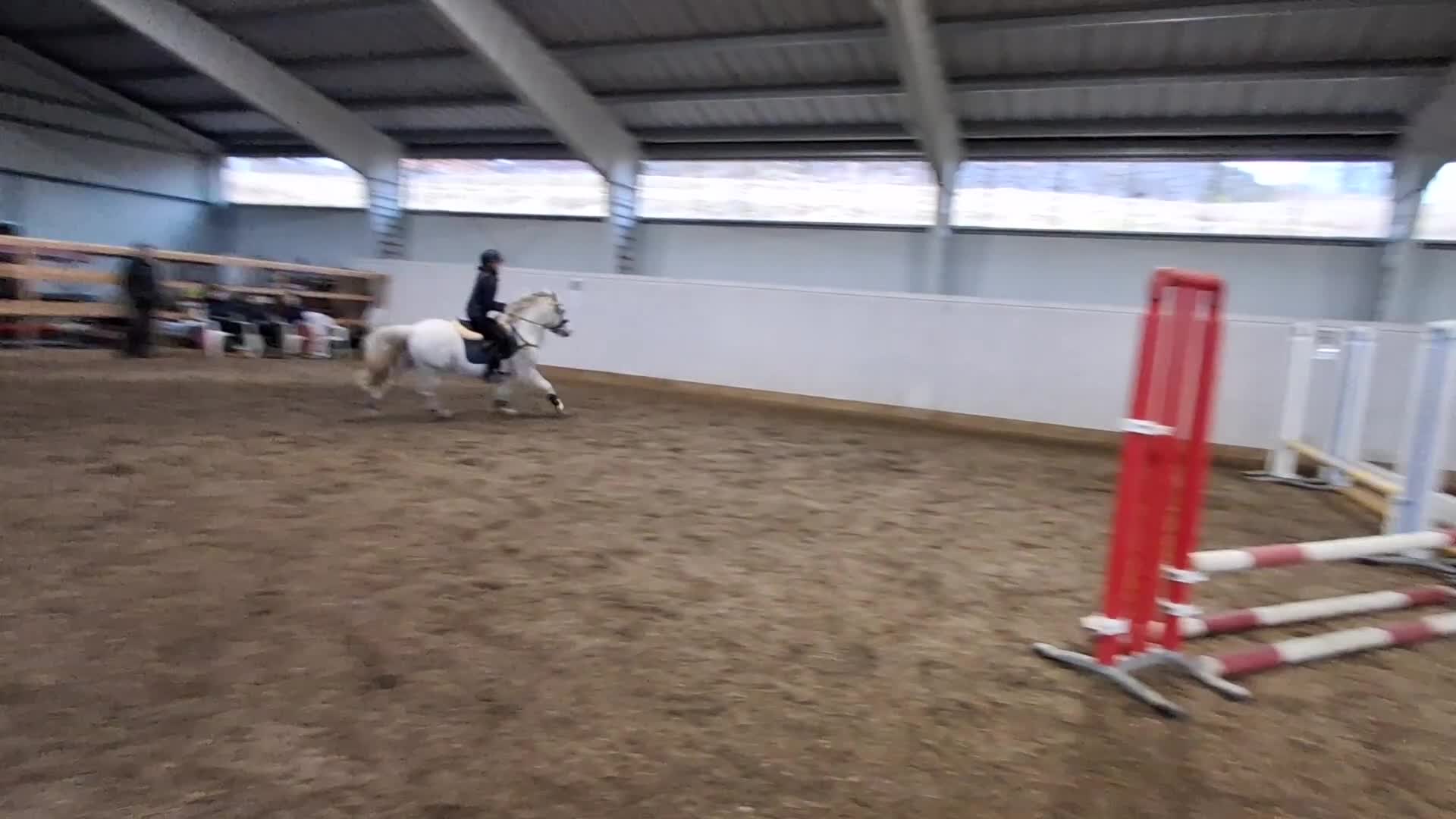 Allround hästar till salu: Charmig ponny i Storfors - Video 3