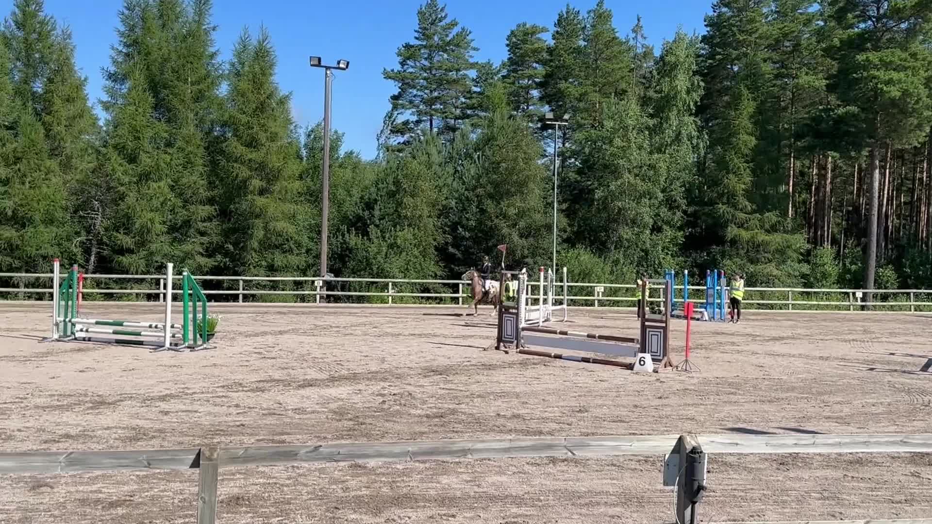 Allround hästar till salu: Pigg blivande rosettplockare  - Video 1
