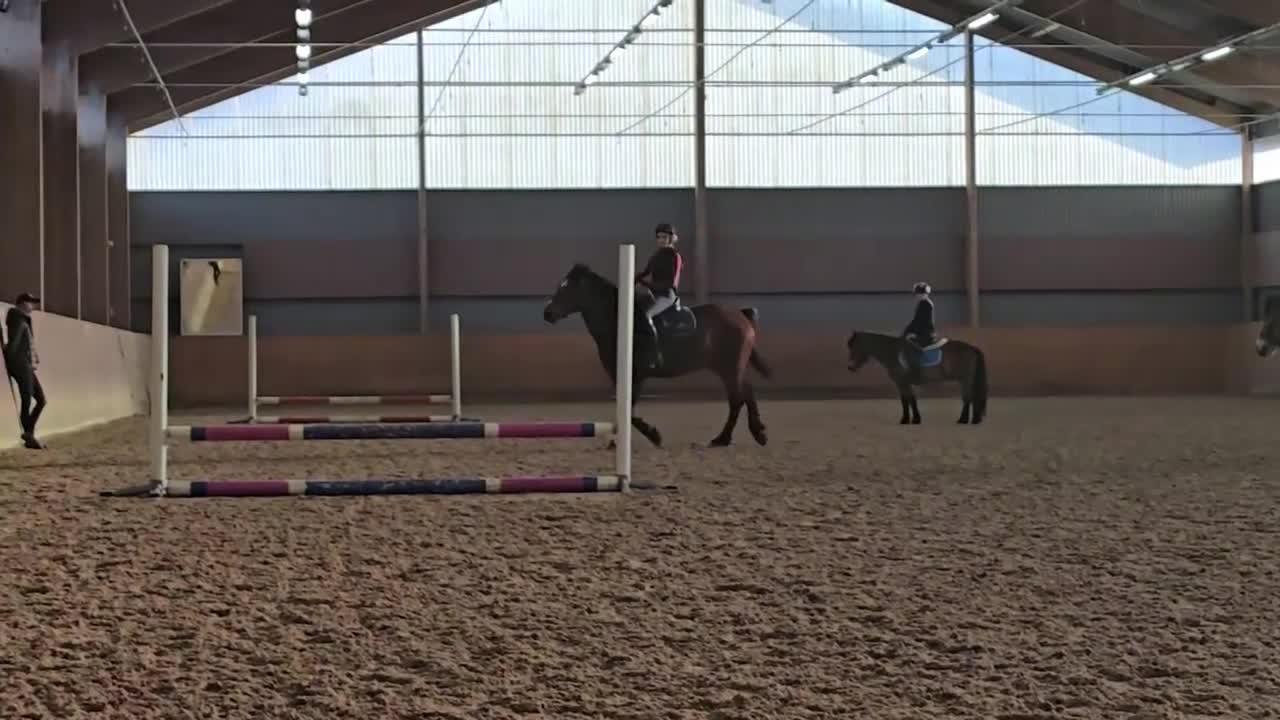Hoppning hästar sökes: Medryttarhäst sökes! - Video 2