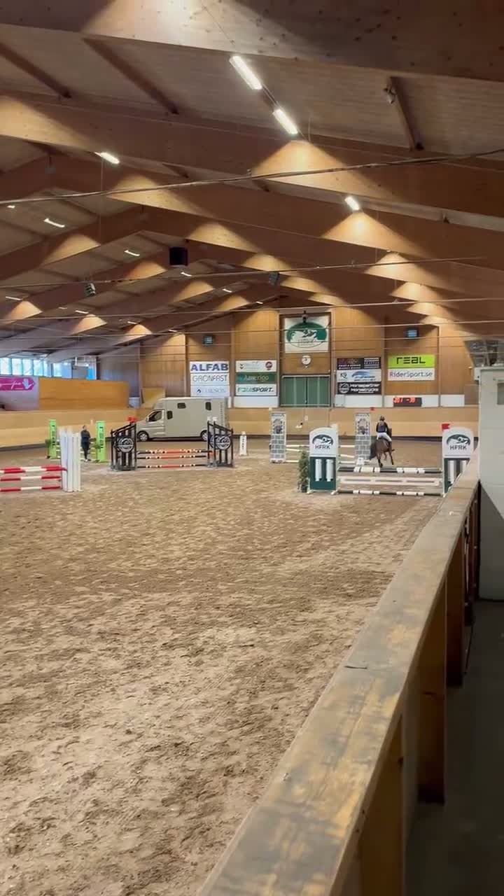 Hoppning hästar till salu: Talangfull b ponny - Video 4