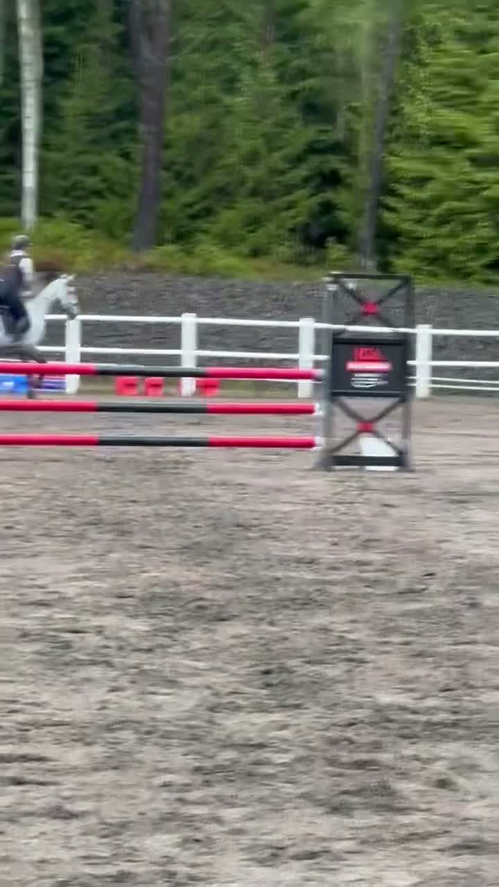 Hoppning hästar till salu: Lyxig hobbyhäst/Perfekt mor/dotter häst - Video 2