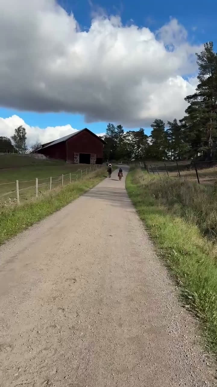  hästservice finnes: Inridning/tillridning i Nyköping - Video 1