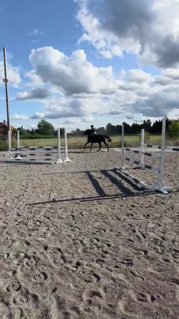 Hoppning hästar till salu: Flott sto med toppstam! - Video 1