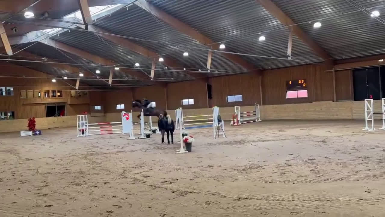 Hoppning hästar till salu: Hopp/fälttävlansämne för större klasser! i Alunda - Video 1