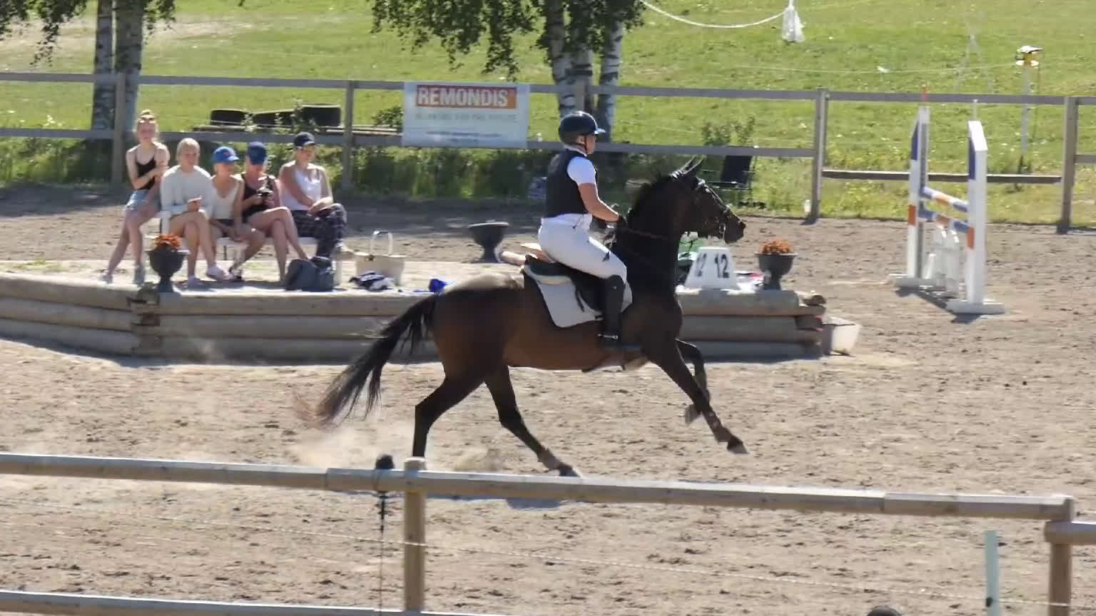 Allround hästar till salu:  Sansa (swb) - Video 2