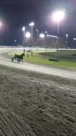 Trav hästar till salu: Starthäst..avel..ridhäst  i Strängnäs - Video 2