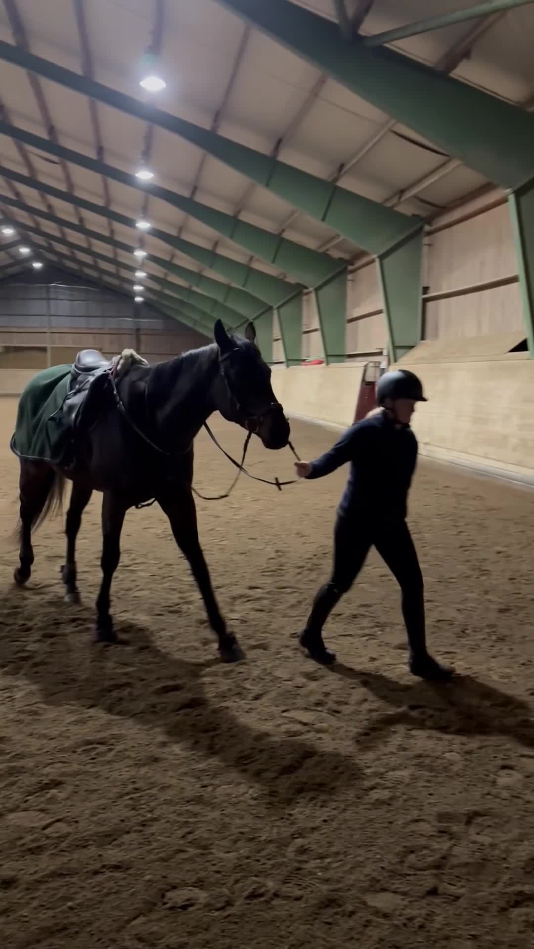 hästservice finnes: Horsemanship, lastträning, problemlösning mm.  - Video 1