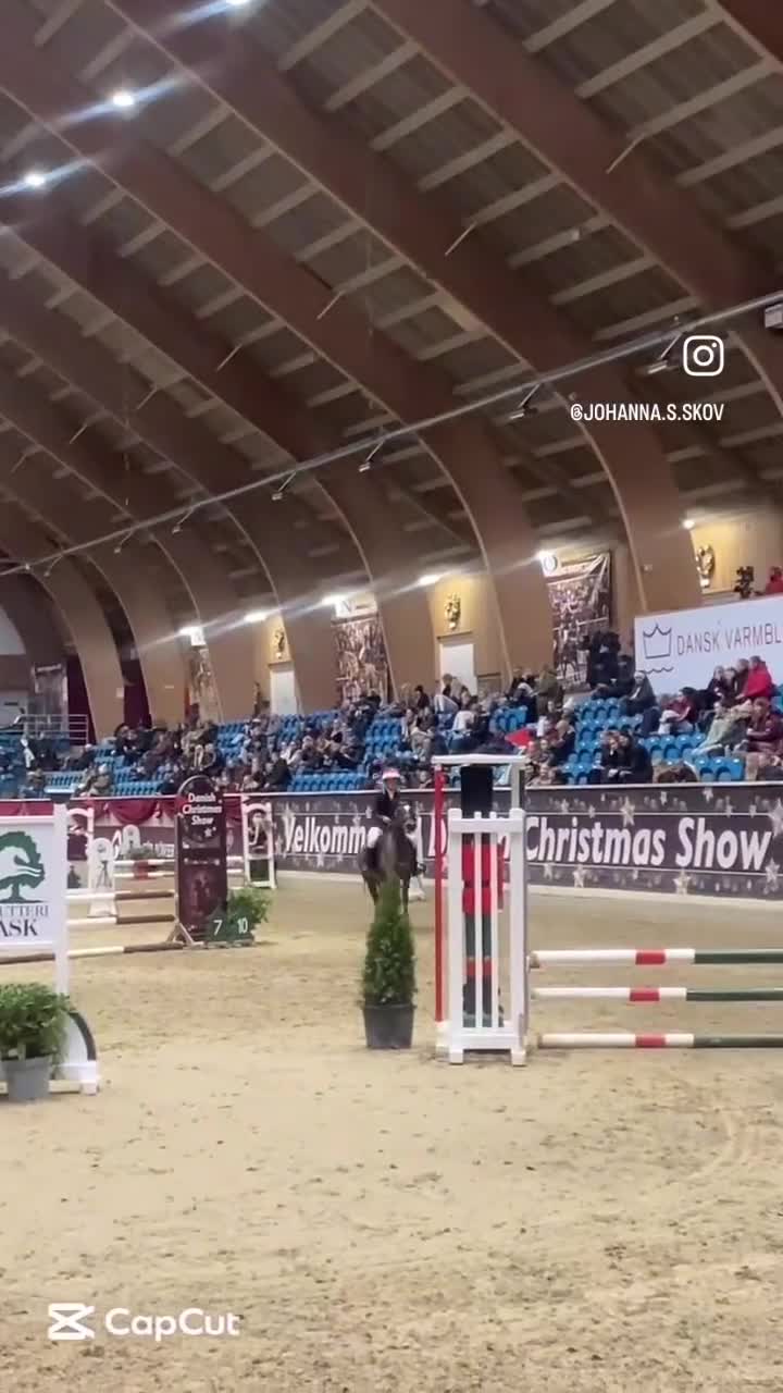 Allround hästar till salu: Mosetoftens Daisy  i Köpenhamn - Video 2