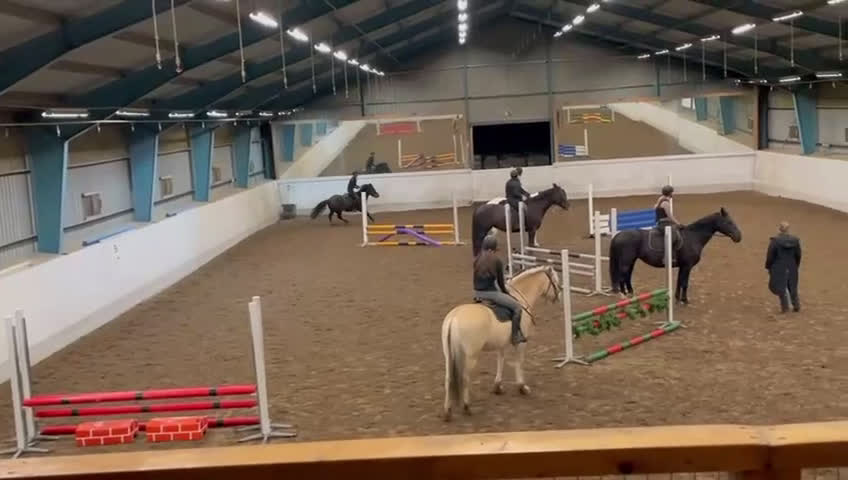 Hoppning hästar till salu: Talangfull sportponny - Video 1