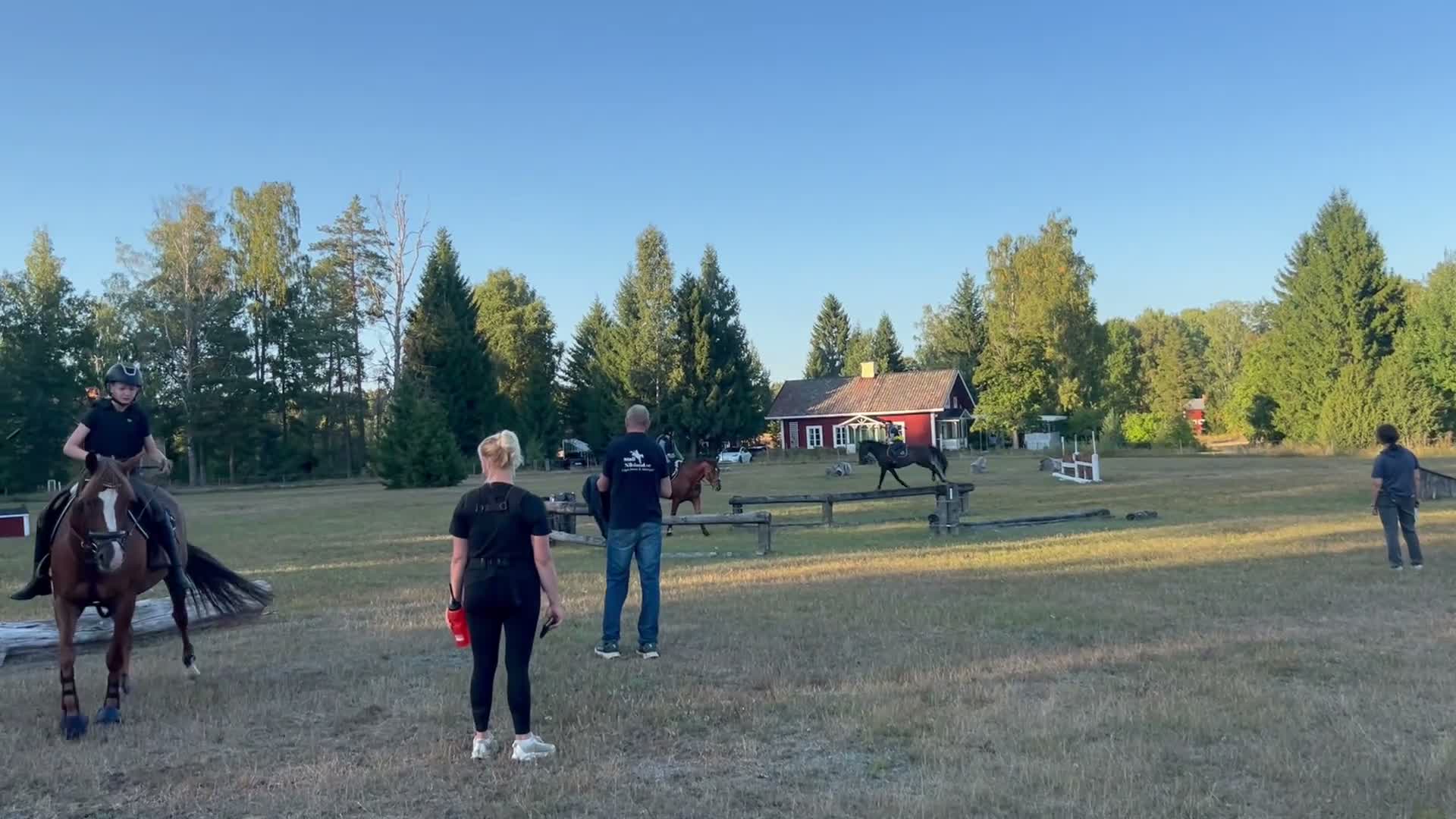 Allround hästar till salu: Underbar häst med största hjärtat!🌸 - Video 3