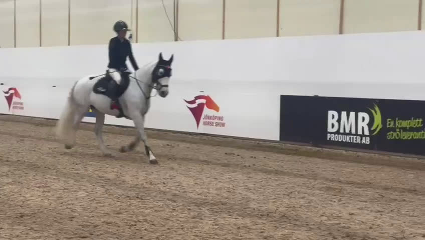 Hoppning hästar till salu: Maxat d-ponny sto med kapacitet - Video 1
