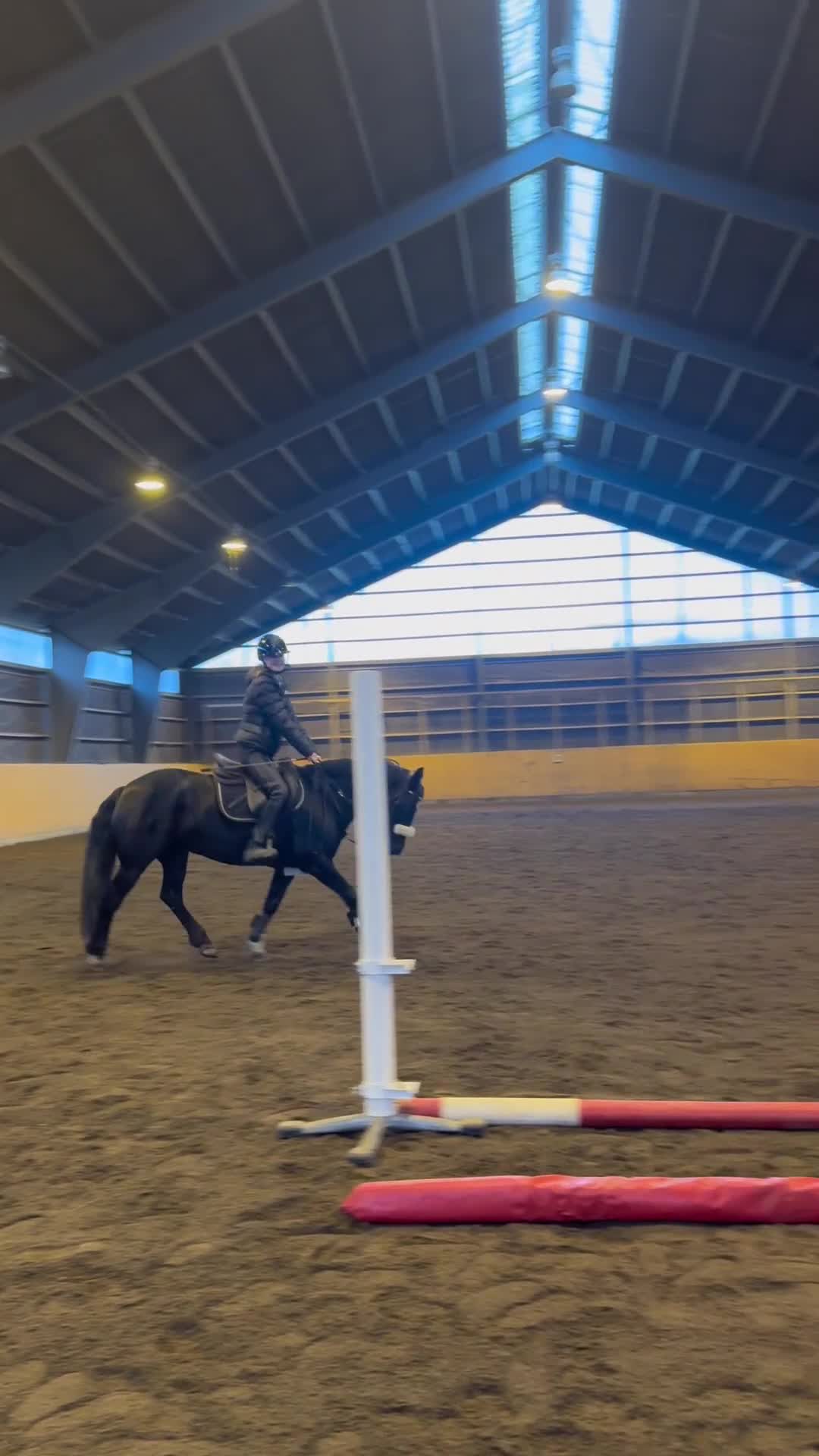 Allround hästar till salu: Ponny med hjärtat på rätt plats  i Gamleby - Video 3