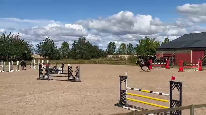 Hoppning hästar till salu: Fint SWB sto med mycket hopp i sig - Video 1