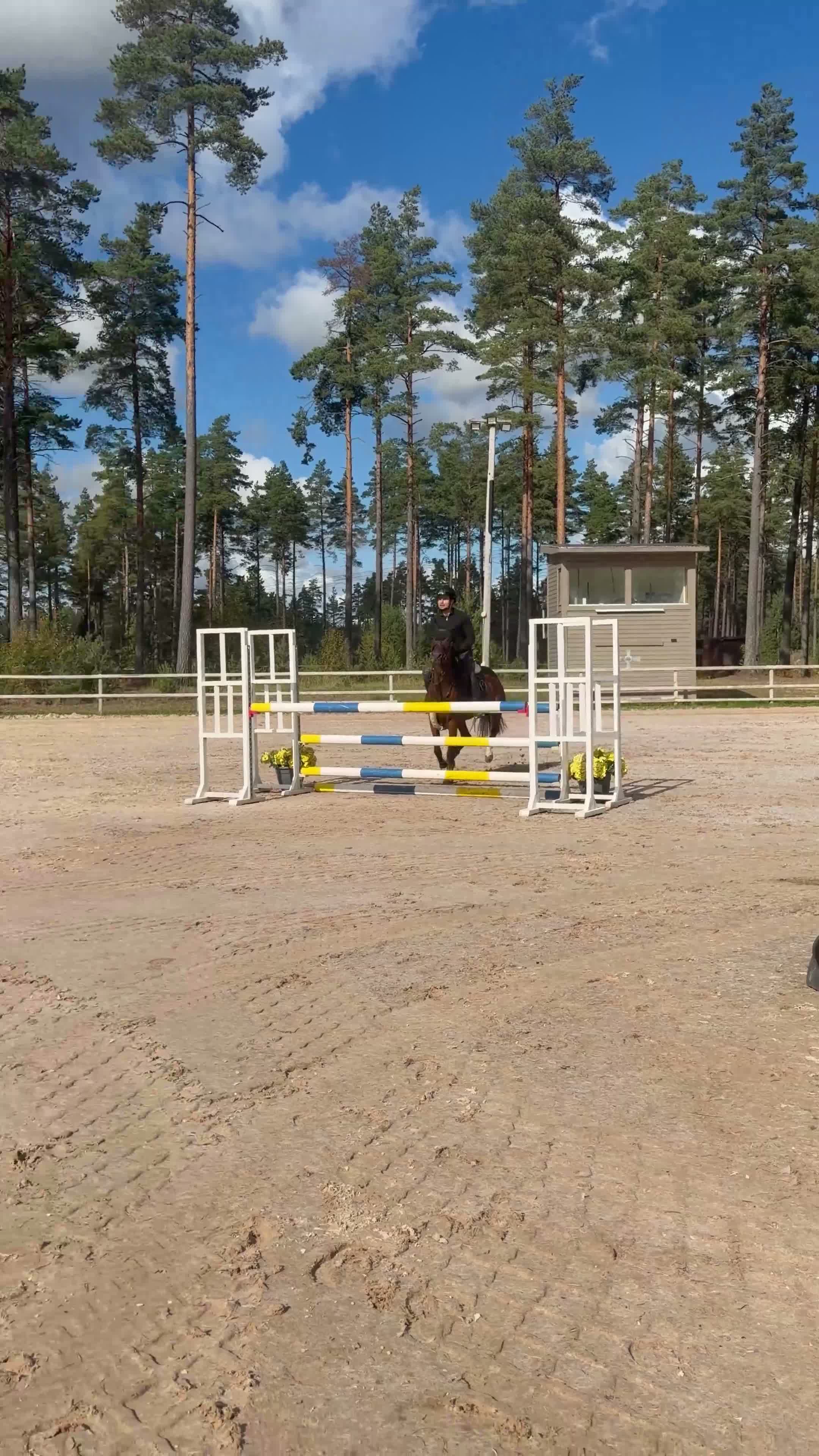 Hoppning hästar till salu: Uppdaterad!! Ponny för framtiden😍⭐️ - Video 2