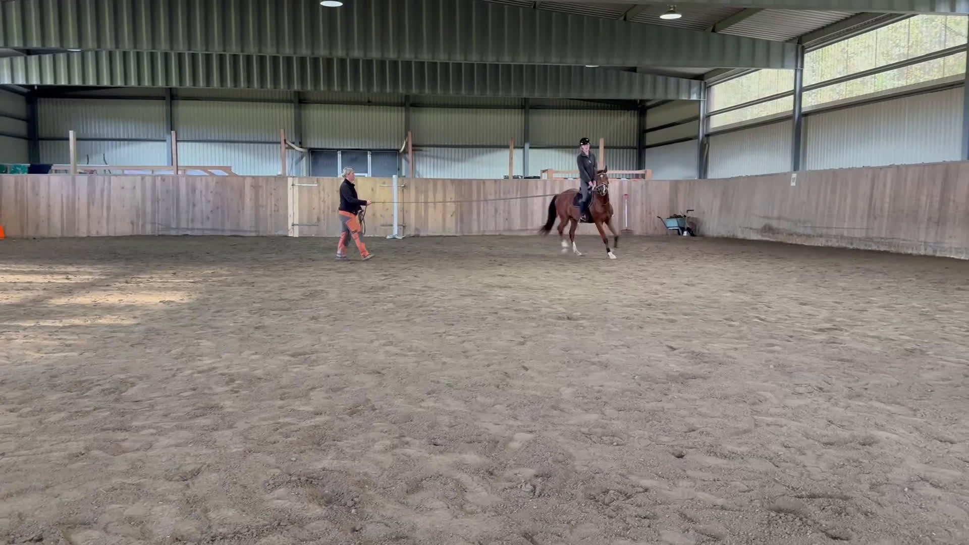 Hoppning hästar till salu: Lovande unghäst för framtiden! i Hällevadsholm - Video 2