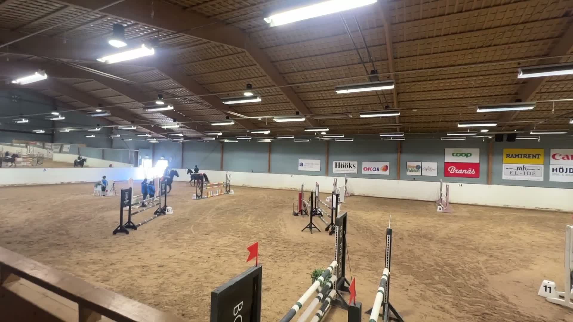 Hoppning hästar till salu: Världens bästa läromästare  i Karlskoga - Video 4