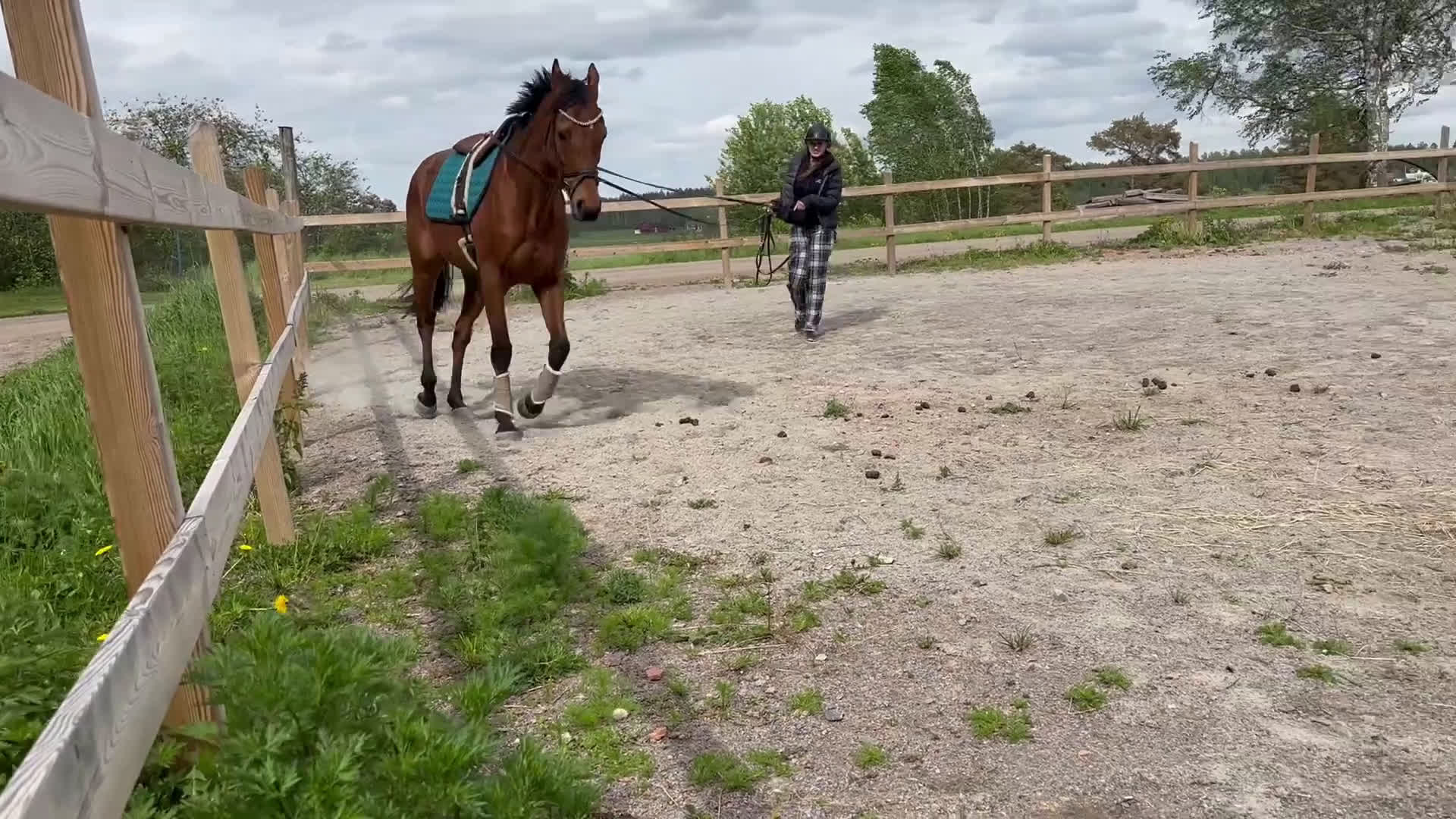 Allround hästar till salu: Medryttare sökes till 5 åring i Sala - Video 3