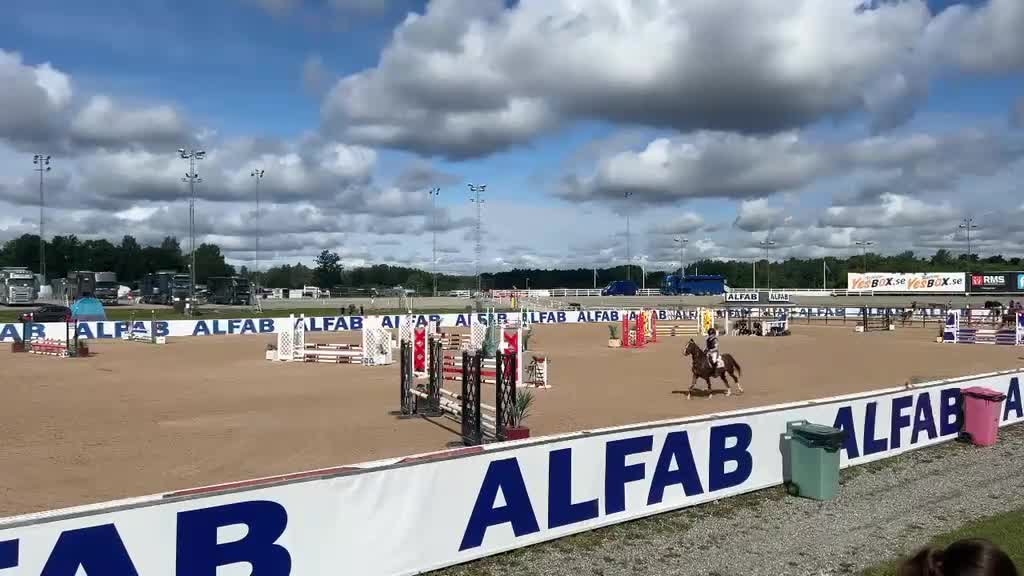 Hoppning hästar till salu: B-ponny för framtida mästerskap i Tvärred - Video 1